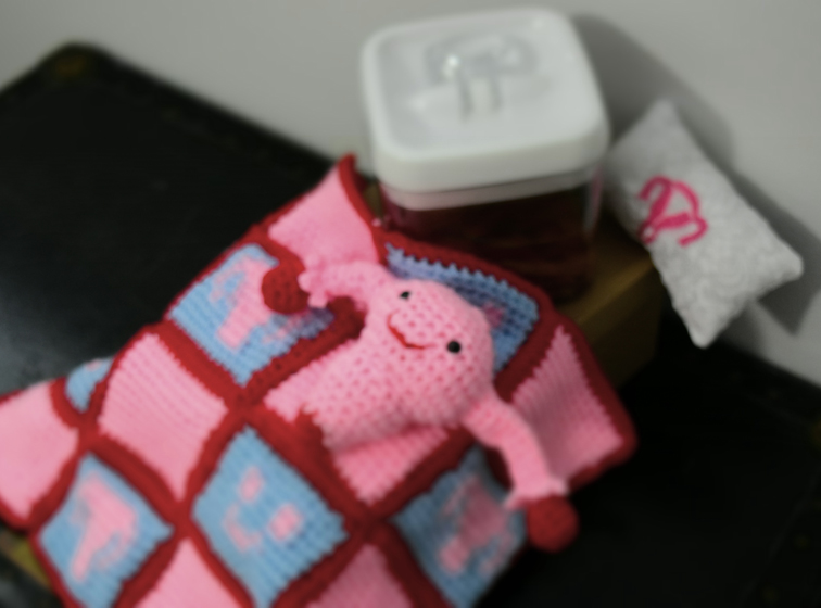 DSC_0061 A uterus in a Tupperware sitting on a "bed" with a crocheted happy face and uterus quilt, with a uterus doll, and an embroidered pillow.