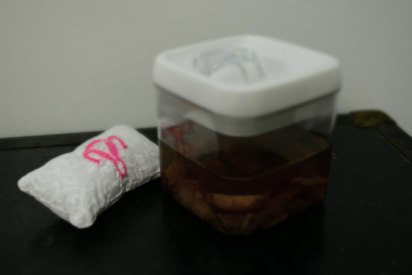 DSC_0079 A uterus in a Tupperware with an embroidered uterus pillow