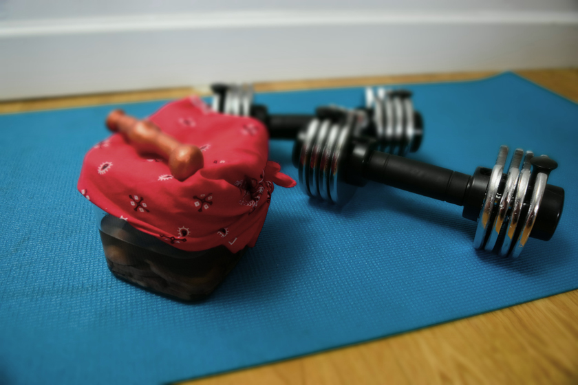 DSC_0132 A uterus in a Tupperware wearing a bandana with a ceramic kegelcisor on top, next to some dumbells.