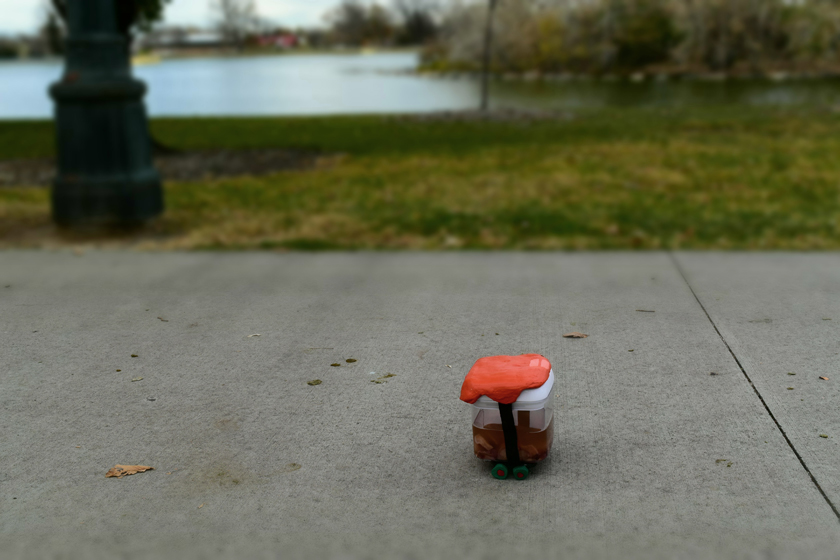 DSC_0175 A uterus in a Tupperware is wearing a ceramic orange helmet and skates.